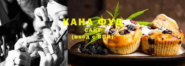 мдпв Магас