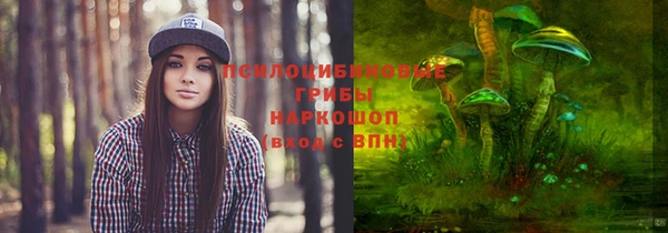 мдпв Магас