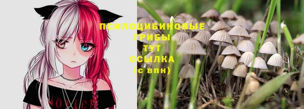 каннабис Магадан