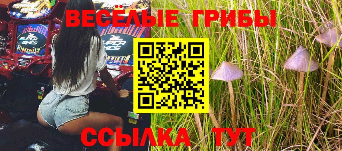 Галлюциногенные грибы MAGIC MUSHROOMS  Галлюциногенные грибы ЛСД  Якутск  Вход с VPN 